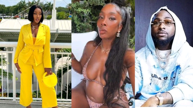 Davido babymama Anita Brown flaunts babybump as she tenders public apology to Nigerians (Video)