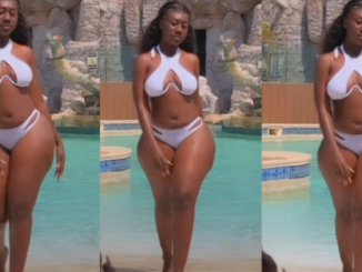 Hajia Bintu shows off her gorgeous body in this new video (Watch)